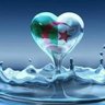Meftah Safia's profile picture
