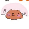 ちゃかぴばら profil fotoğrafı