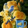 العراقيه العراقيه profil fotoğrafı