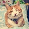 Profilbild von 玉面小飞龙