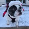 mainer's profile picture