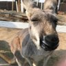 ぜんちゃん◎大阪 的头像
