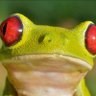 Tick's profile picture