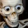 Mr Skeltal 的头像