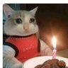 Fusebox's profile picture