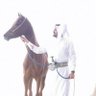 Khalid Y Abu saq profil fotoğrafı