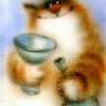 nebaskov's profile picture