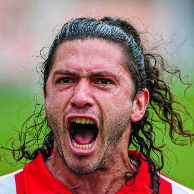 Fan del Samurái's profile picture