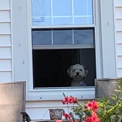 Matt's profile picture