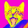ã¢ã€ã³ã·ã¥ã¿ã€ã³ãã£ãã profil fotoÄrafı