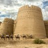 Фото профиля Muhammad Farooq