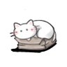 けーにゃんこ( ¯ω¯ )ᐝ profil fotoğrafı