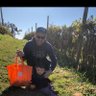 Aaron 的头像