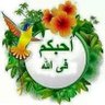 Фото профиля Mohamed Helal