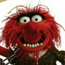 Profilbild von The Animal