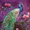 💜Nic💜's profile picture