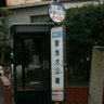 藤桃花 的头像