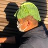 Фото профиля 出張料理人 みつ
