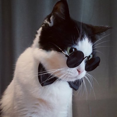 *เป็นแมวใส่แว่น's profile picture