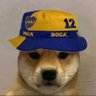 Profilbild von Brandon