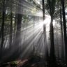 Фото профиля 达维汤