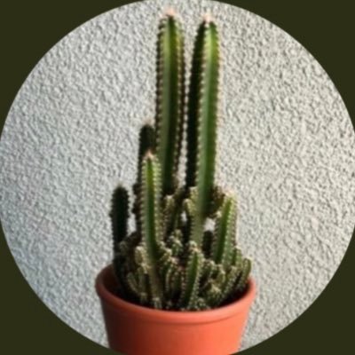 خاکتوس's profile picture