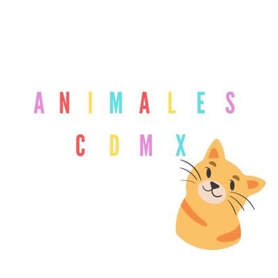 AnimalesCDMX's profile picture