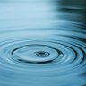 XRP147 的头像