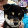 広中悦子's profile picture