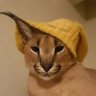 thebucketman's profile picture