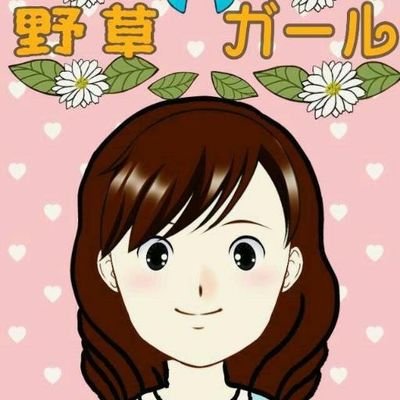 のん🍀365日野草生活®️'s profile picture