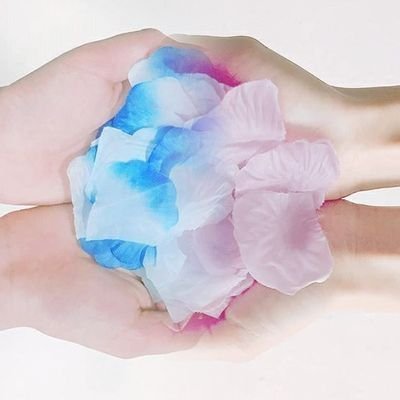 ak_file's profile picture