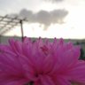 rMbkk's profile picture