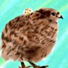Profilbild von うずら