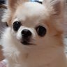 このみ's profile picture