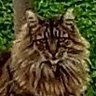 The Authority!'s profile picture