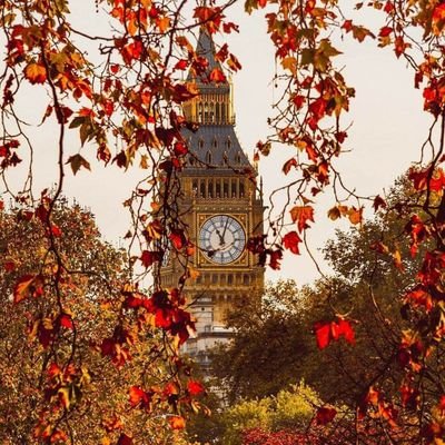 ABO_OMAR_71's profile picture