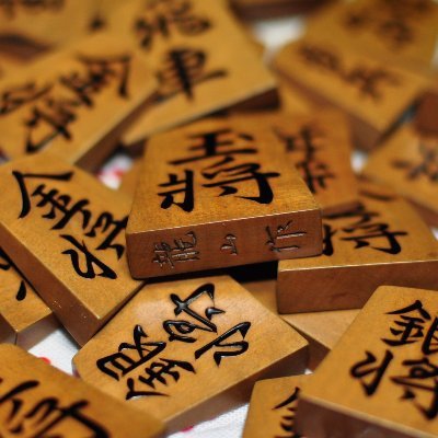 chunichishogi's profile picture