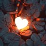 la vie est belle ๐๐ฝ's profile picture