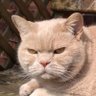 ๐ Paul ๐ ๐พ๐พ๐๏ธ๐งฝ๐ชฃ's profile picture