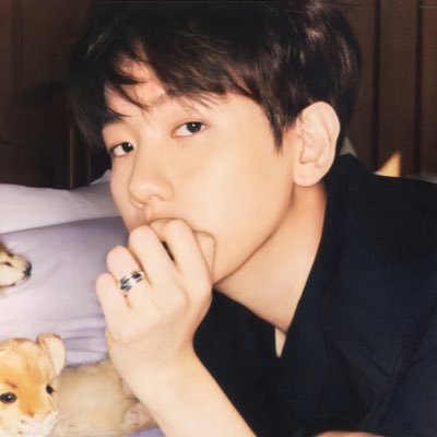 레인's profile picture