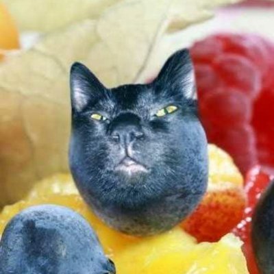 peytonpartyhorn's profile picture