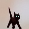 Kilobytten's profile picture