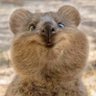 Profilbild von Greta Genus