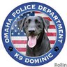 OPDK9Dominic profil fotoğrafı