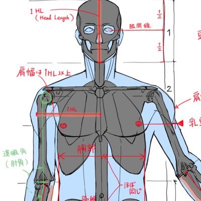 tatami_loop's profile picture