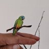 つゆな profil fotoğrafı
