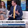 TheFoxChyron's profile picture