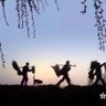老农翻墙 的头像