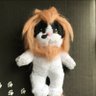 momoneko profil fotoğrafı